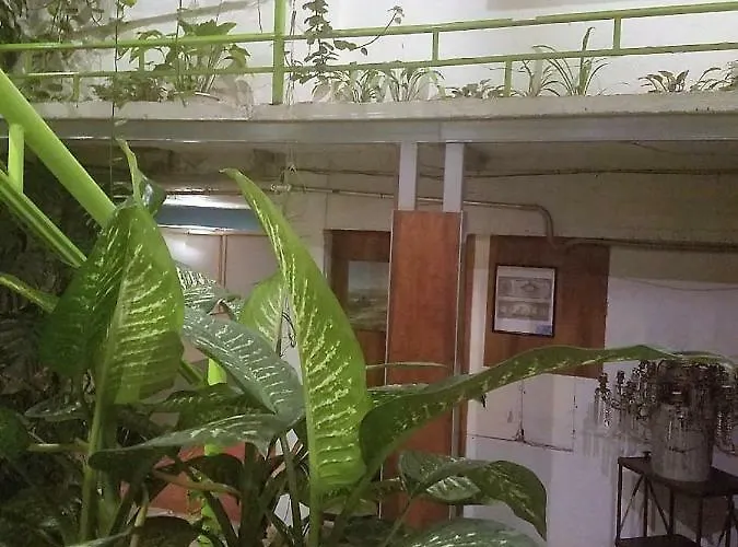 Guest house C Huespedes Sn Angel - Confirme Reservacion Al Telefono Siempre -